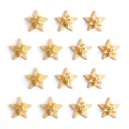 Duo Lemon stars