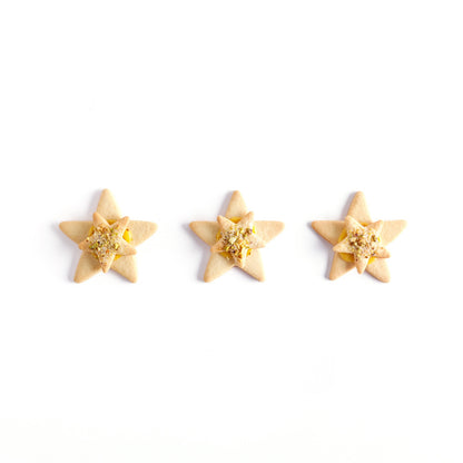 Duo Lemon stars